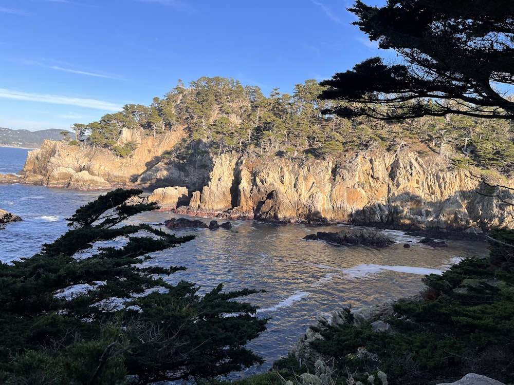 a body of water surrounded by trees and rocks