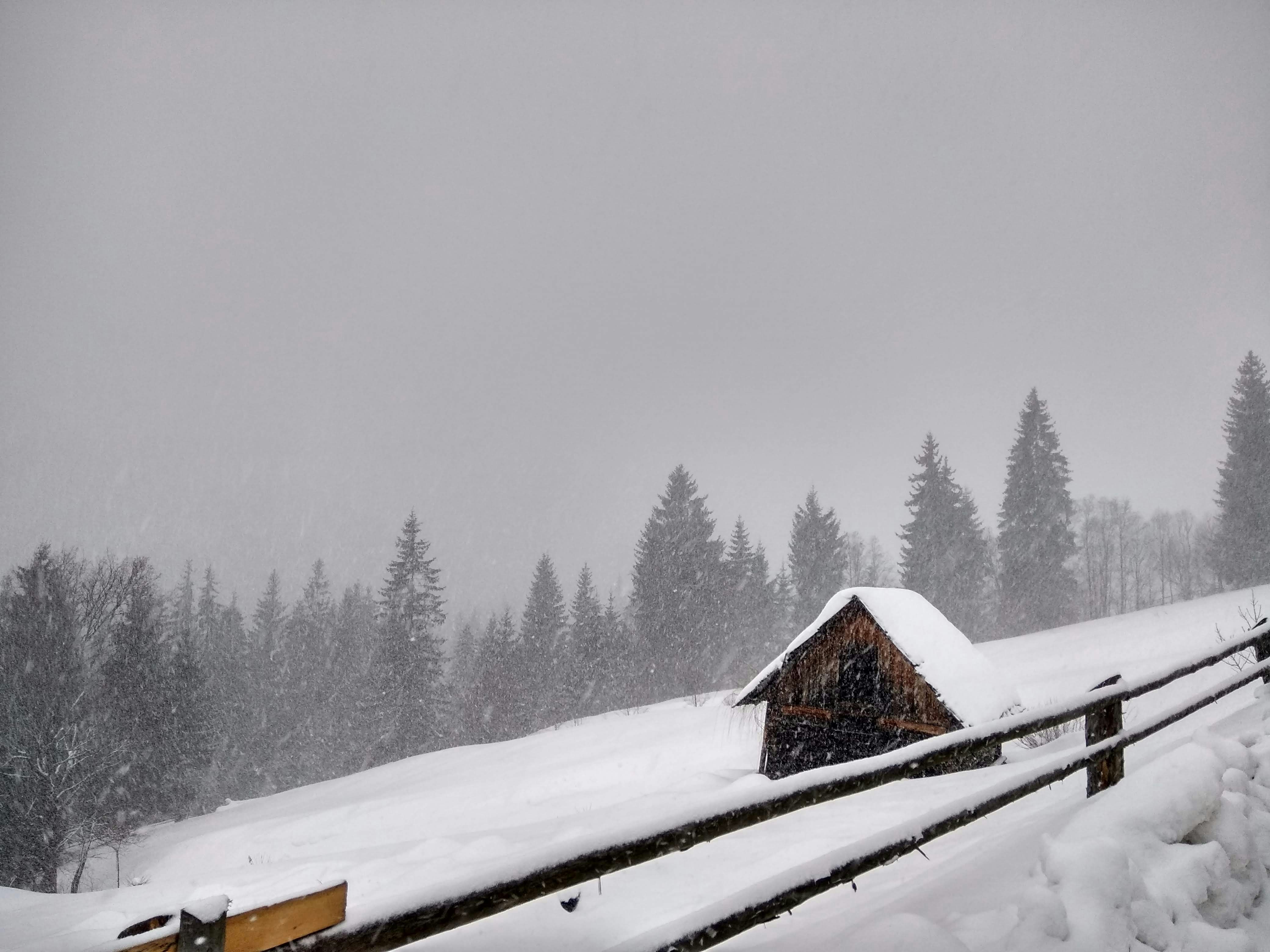 Photo by ivan_tsaryk