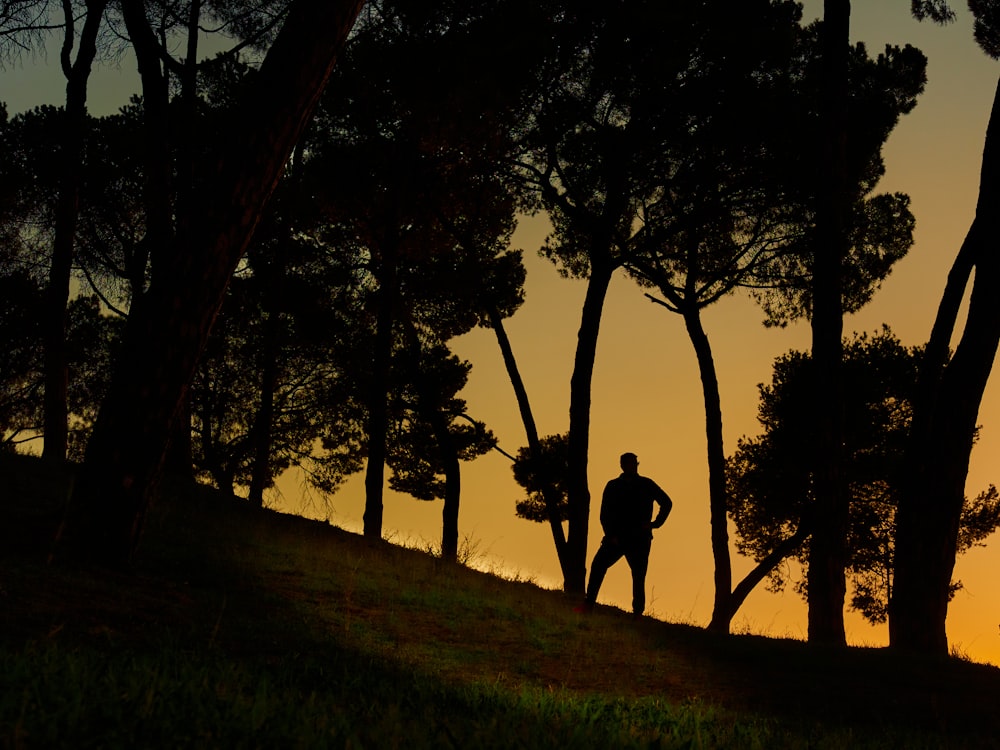 a man standing in the middle of a forest at sunset