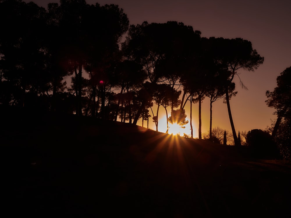 the sun is setting behind some trees on a hill