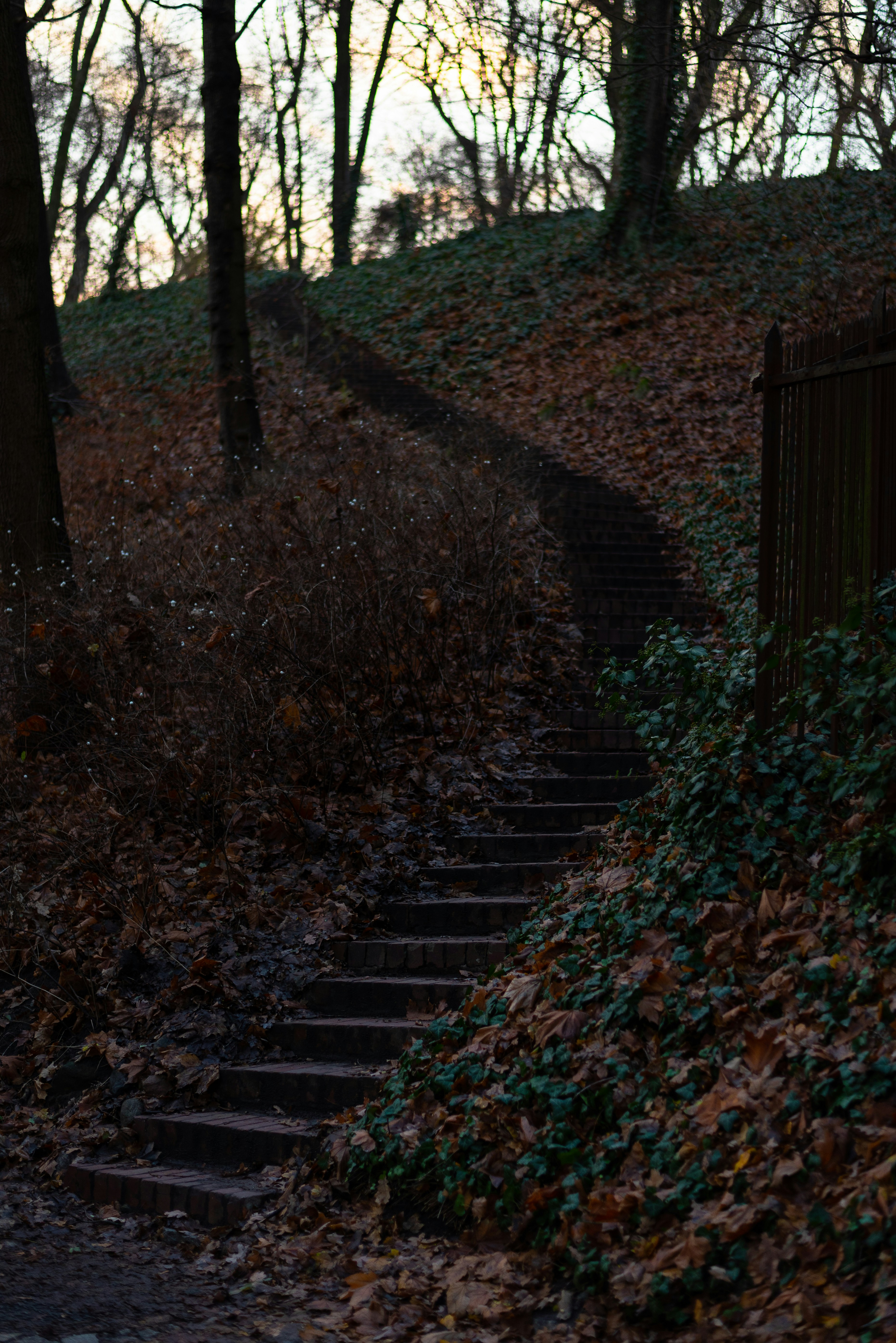 Photo by vadutskevich