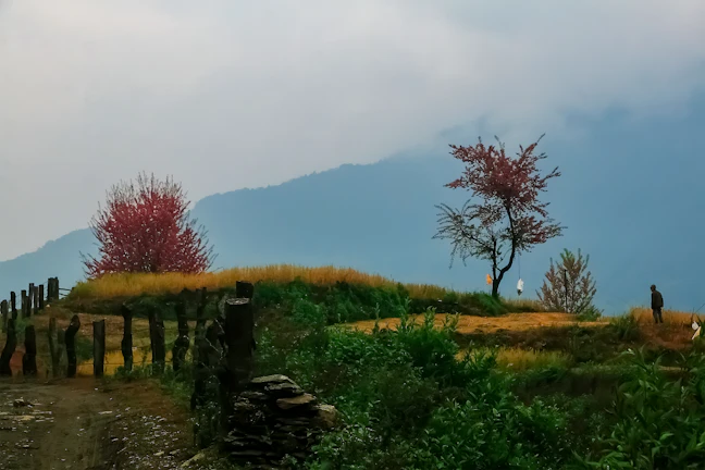 15-Day Luxury Himalayas Itinerary: India & Nepal