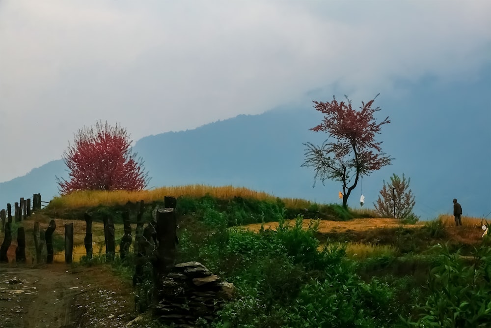 a couple of people standing on top of a lush green hillside