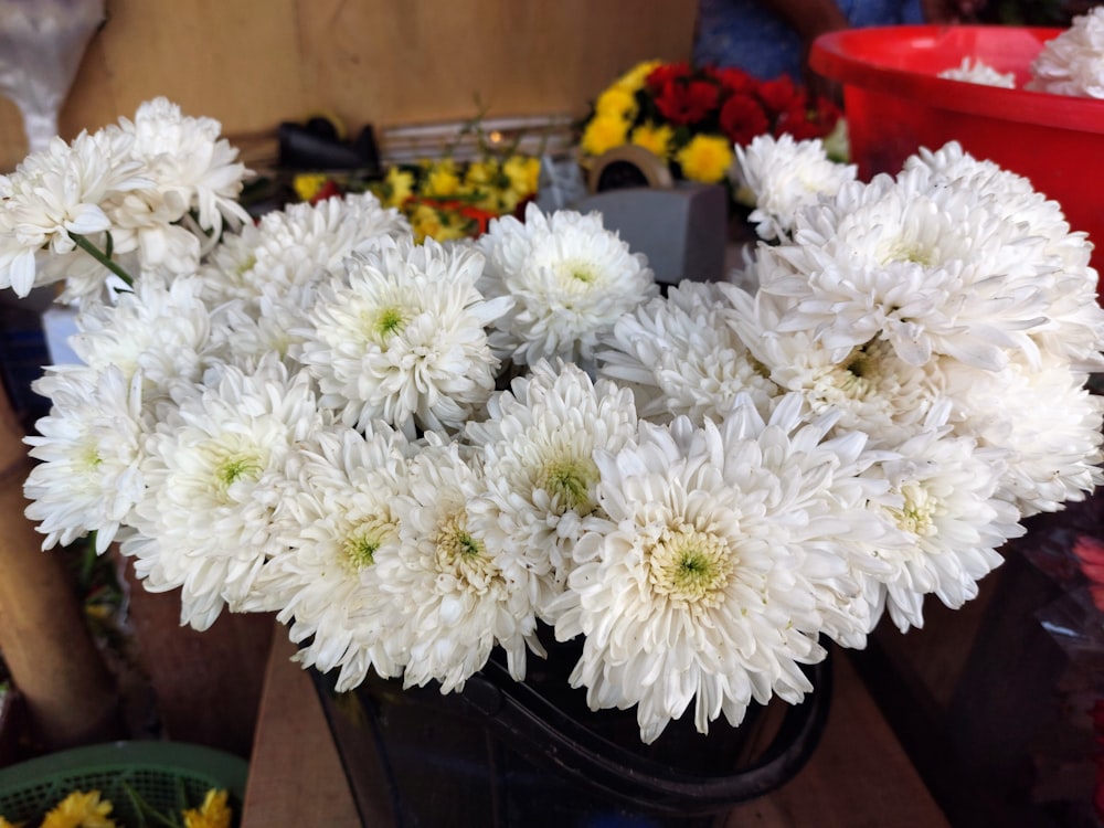 a bunch of white flowers in a black pot