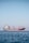 A large cargo ship is floating on a calm sea under a clear blue sky. The ship appears to be carrying containers and is painted red and black, with a white superstructure and cranes on deck. There are distant mountains visible faintly in the background.