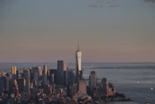 A calm, neutral-toned city skyline at dawn, symbolizing strategic oversight.