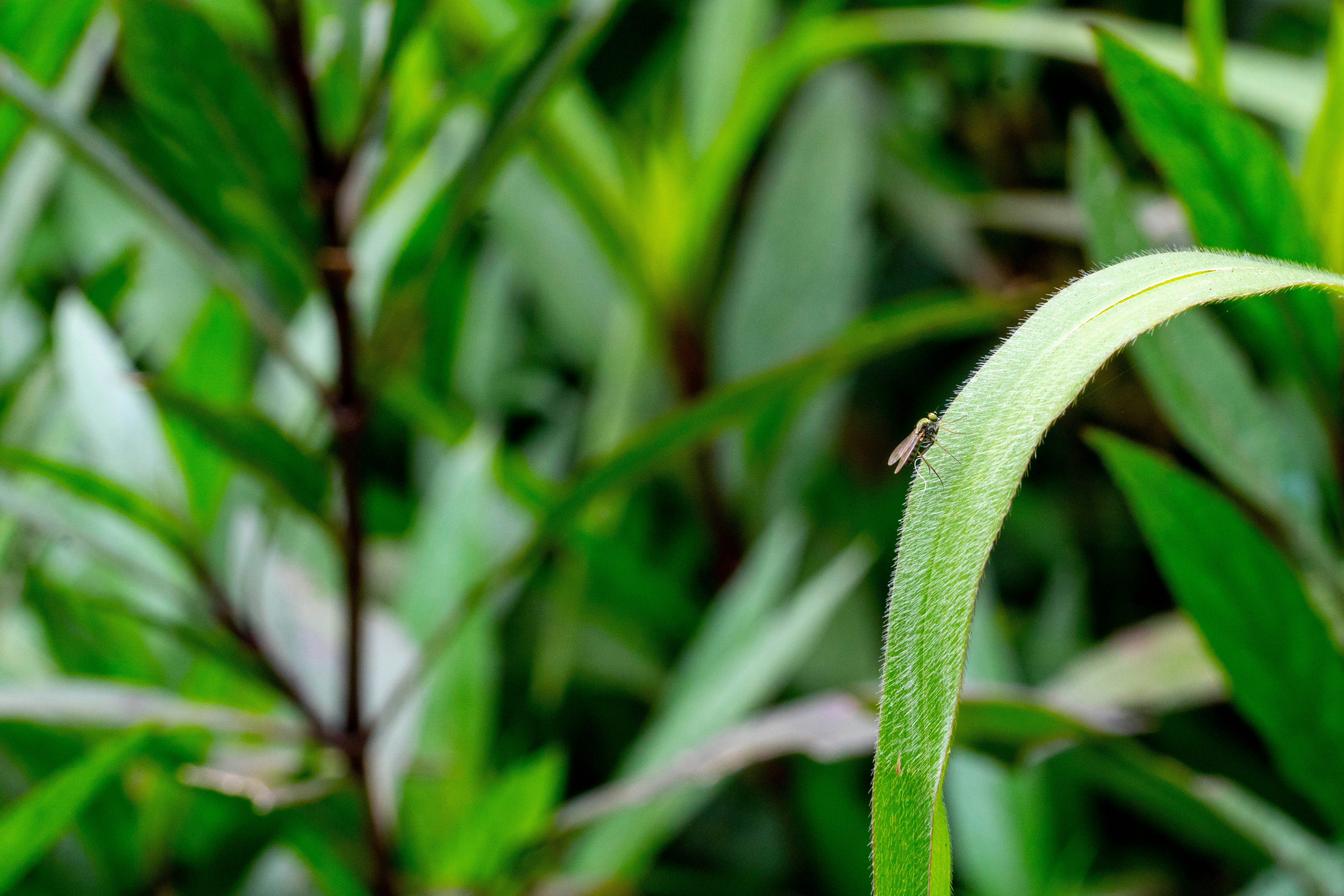 Photo by gustavo0351