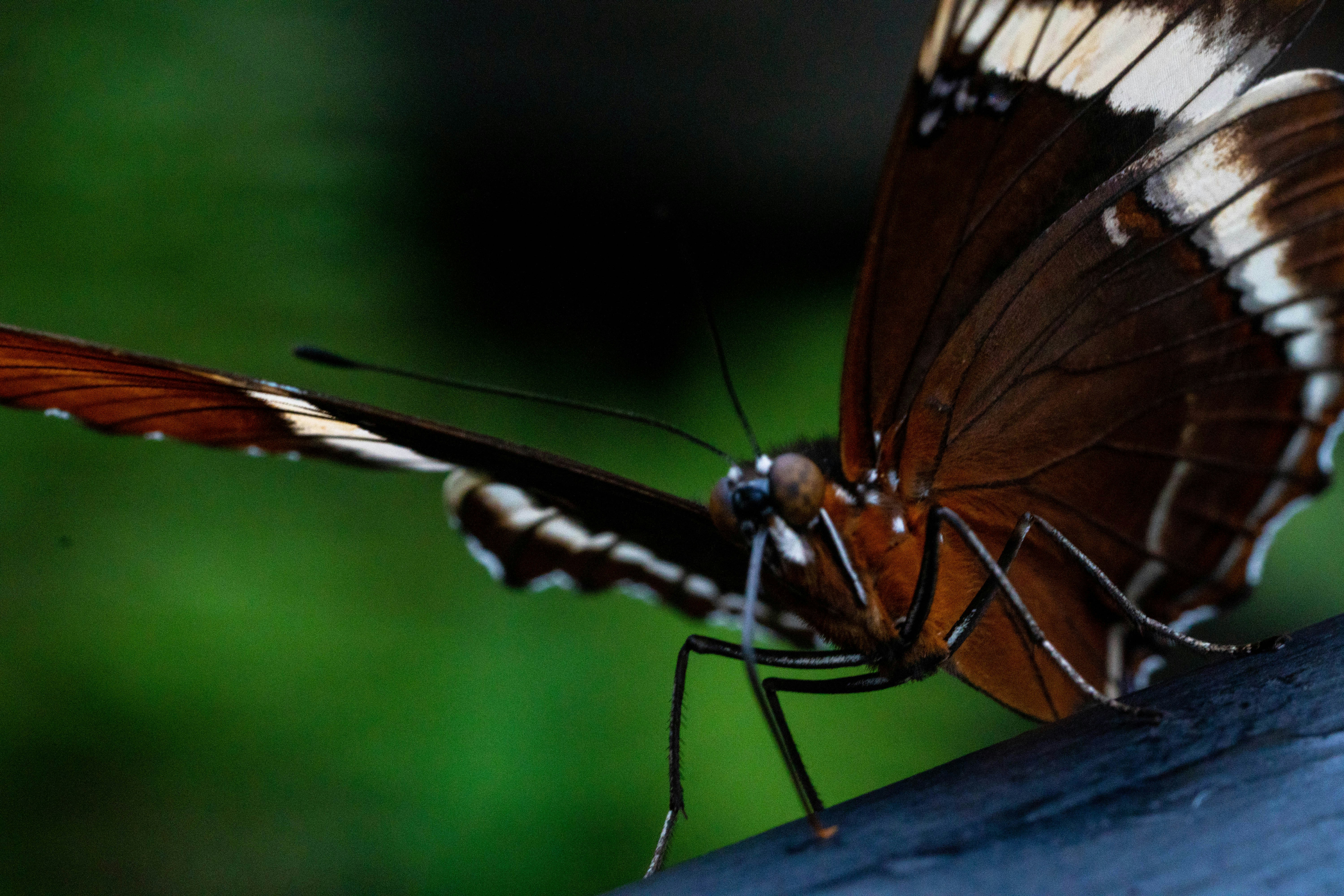 Photo by gustavo0351