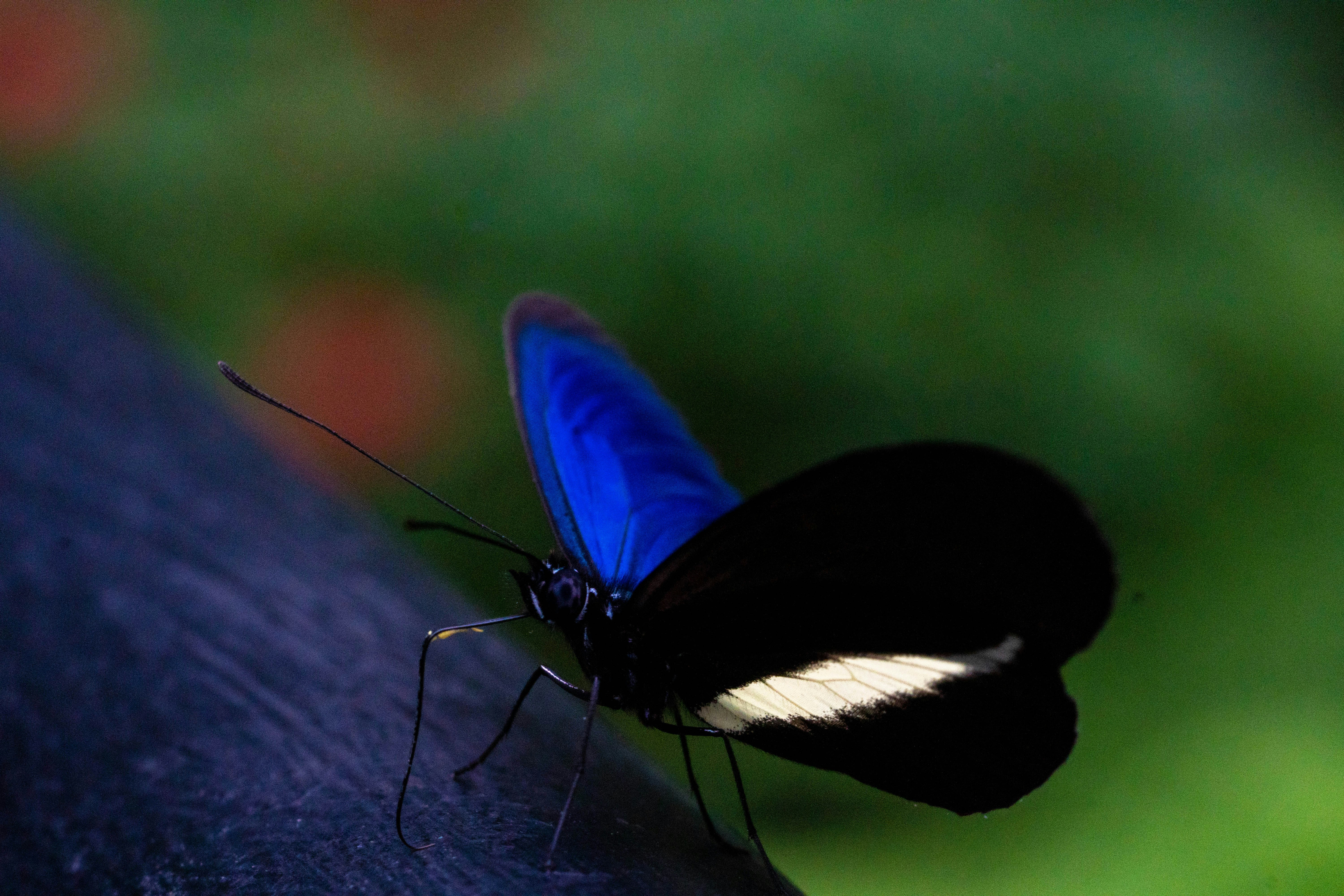 Photo by gustavo0351