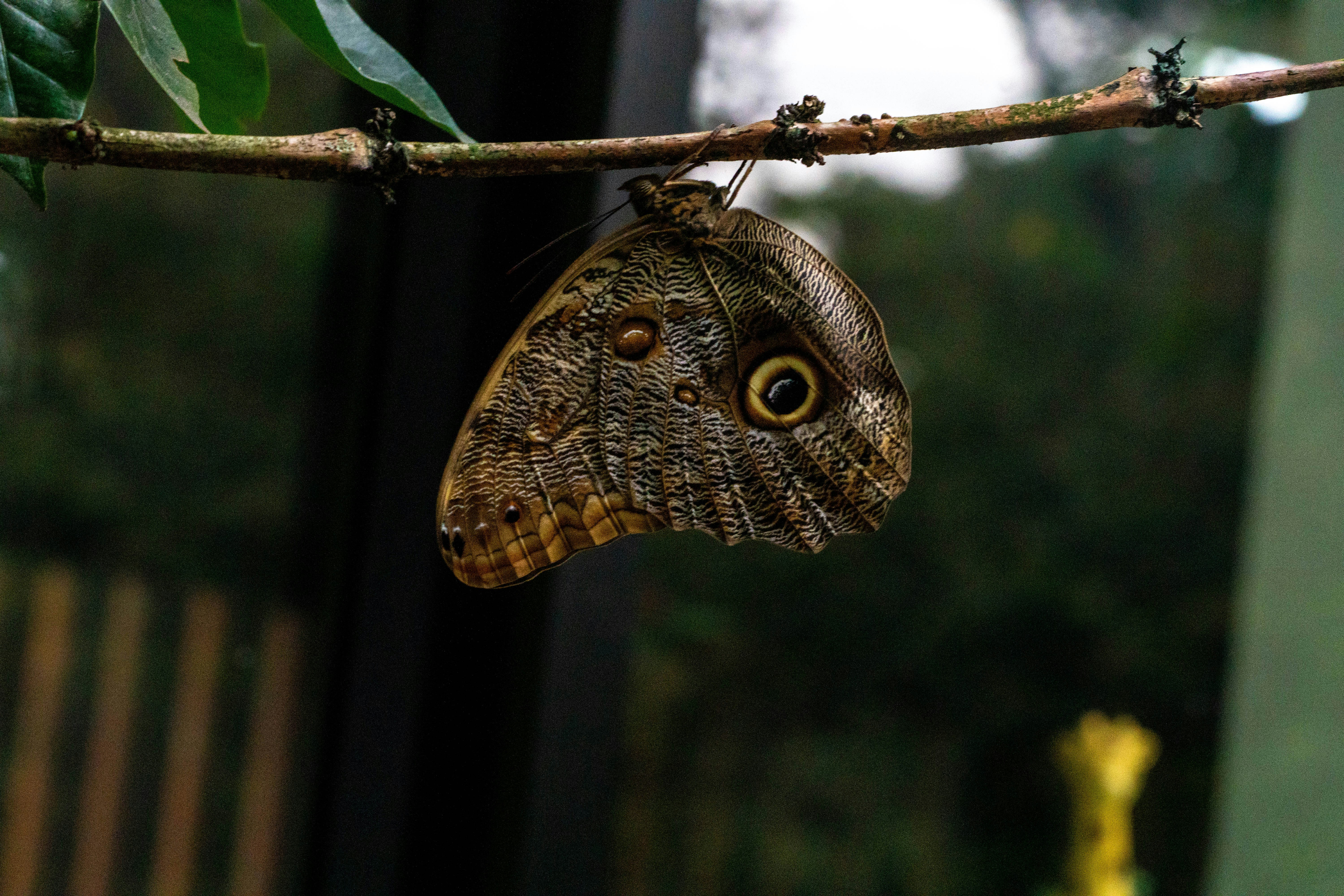 Photo by gustavo0351