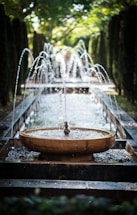 A serene garden with an automated irrigation system in action.