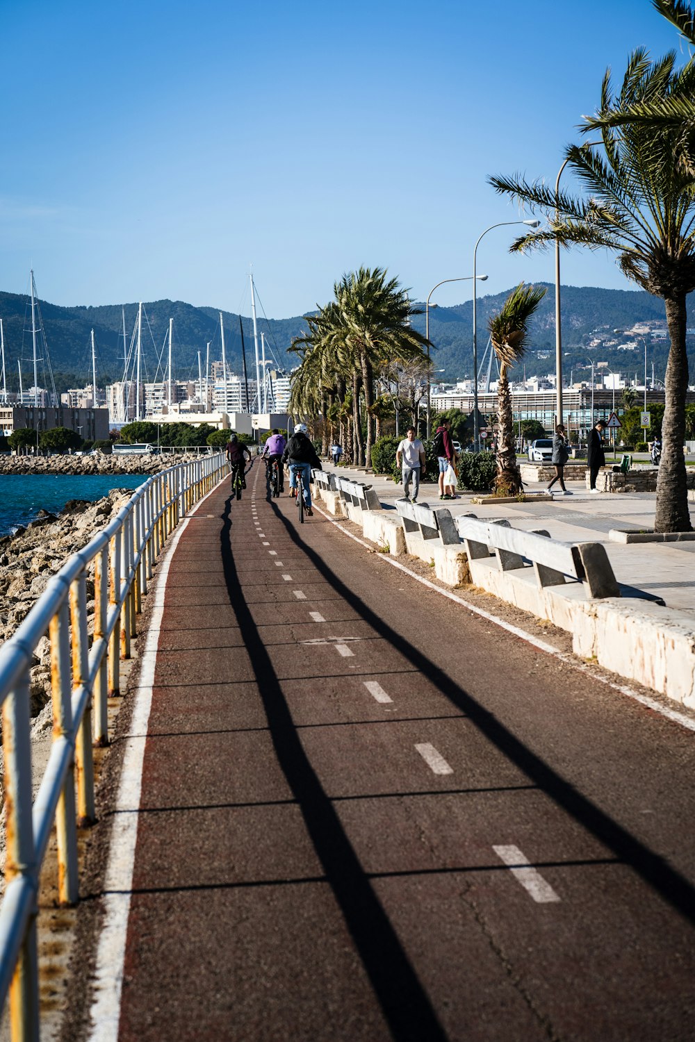 a group of people walking down a street next to a body of water