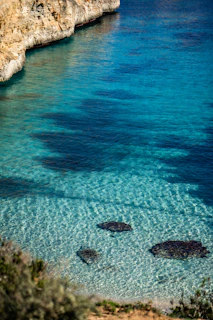 Crystal-clear turquoise waters revealing coral reefs teeming with marine life.