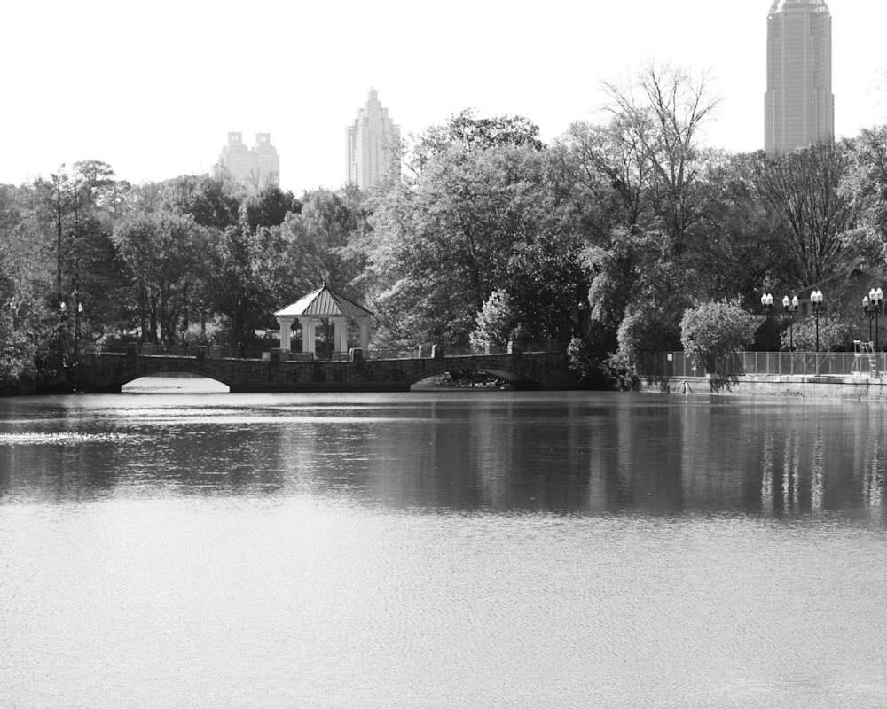 a large body of water surrounded by trees