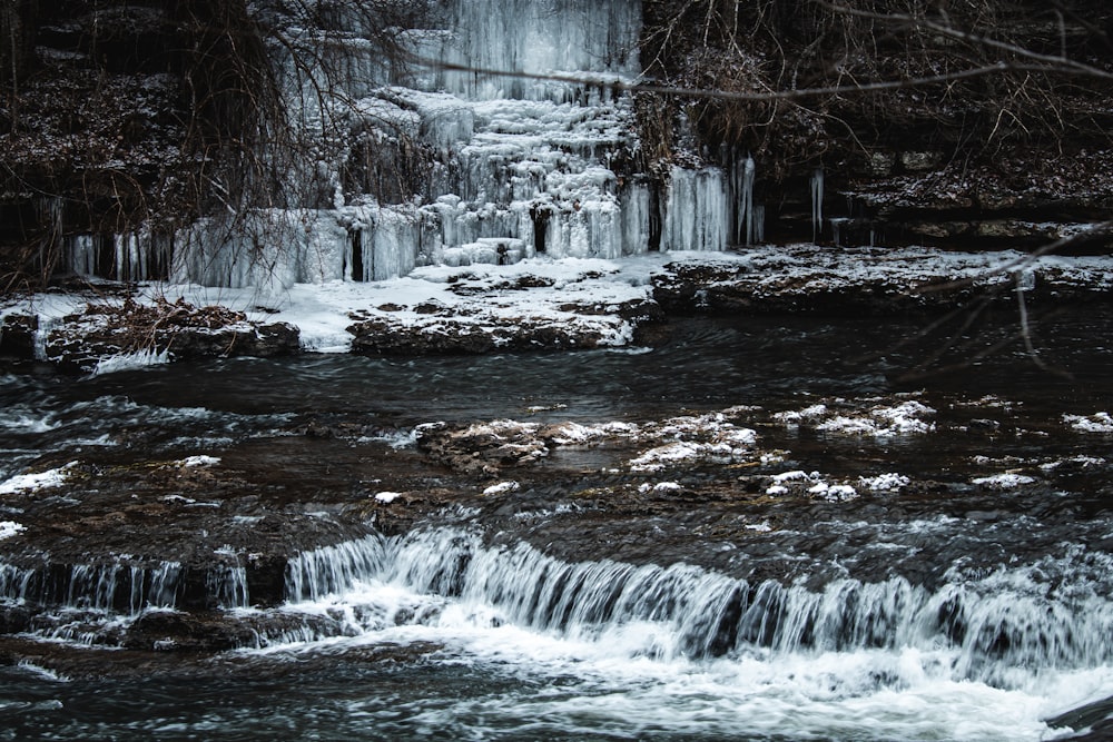 a stream of water running through a forest