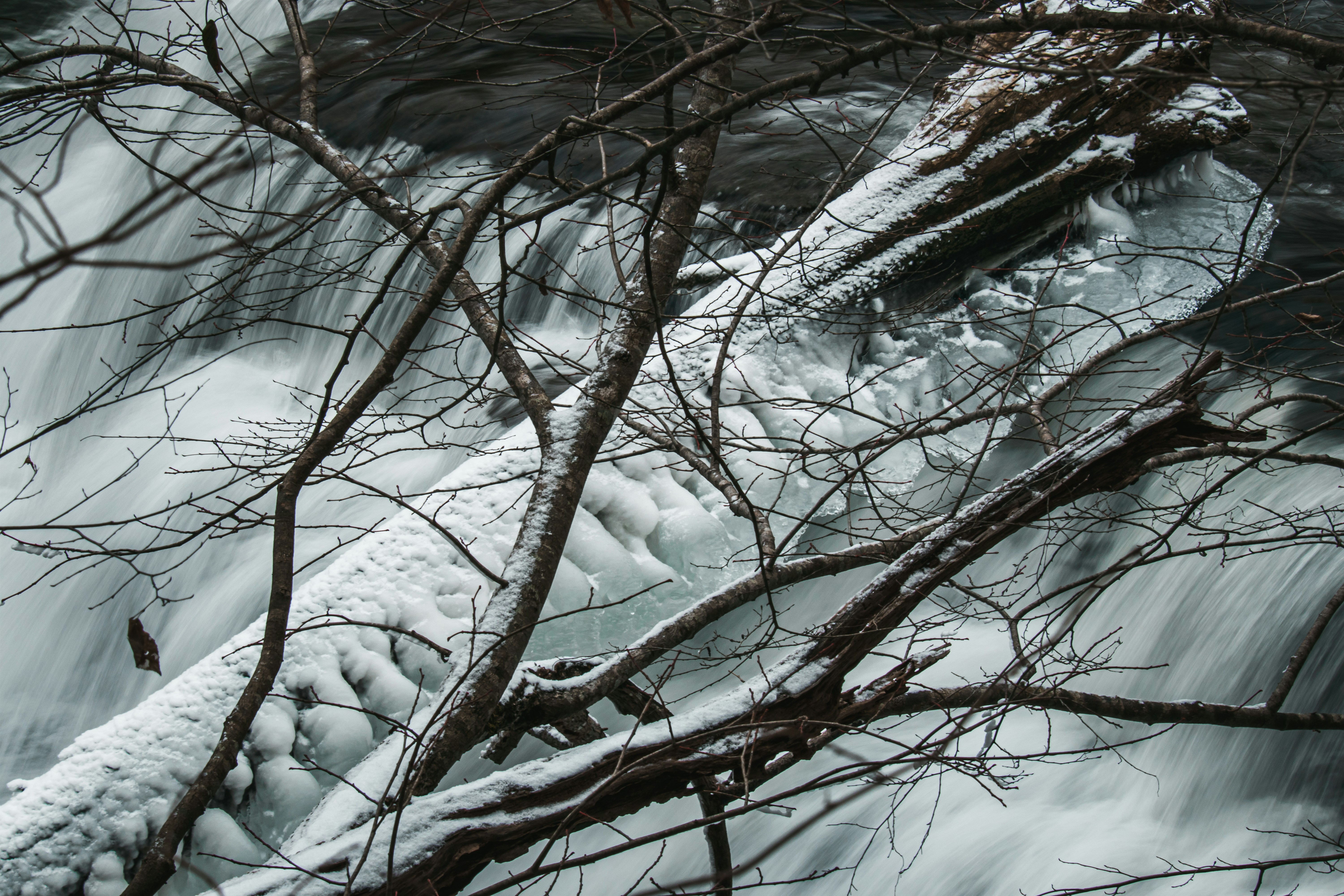 Photo by brice_cooper18