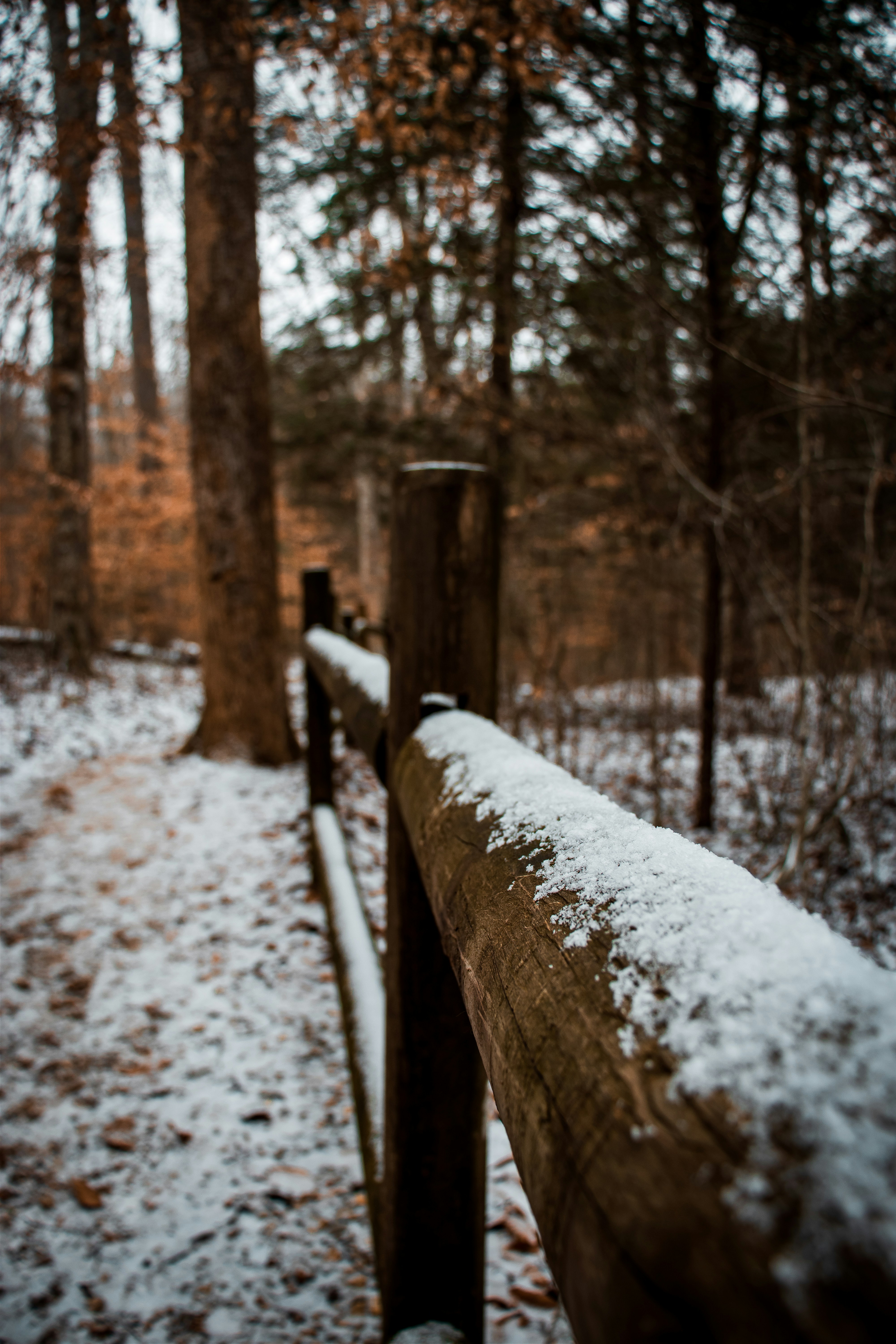 Photo by brice_cooper18