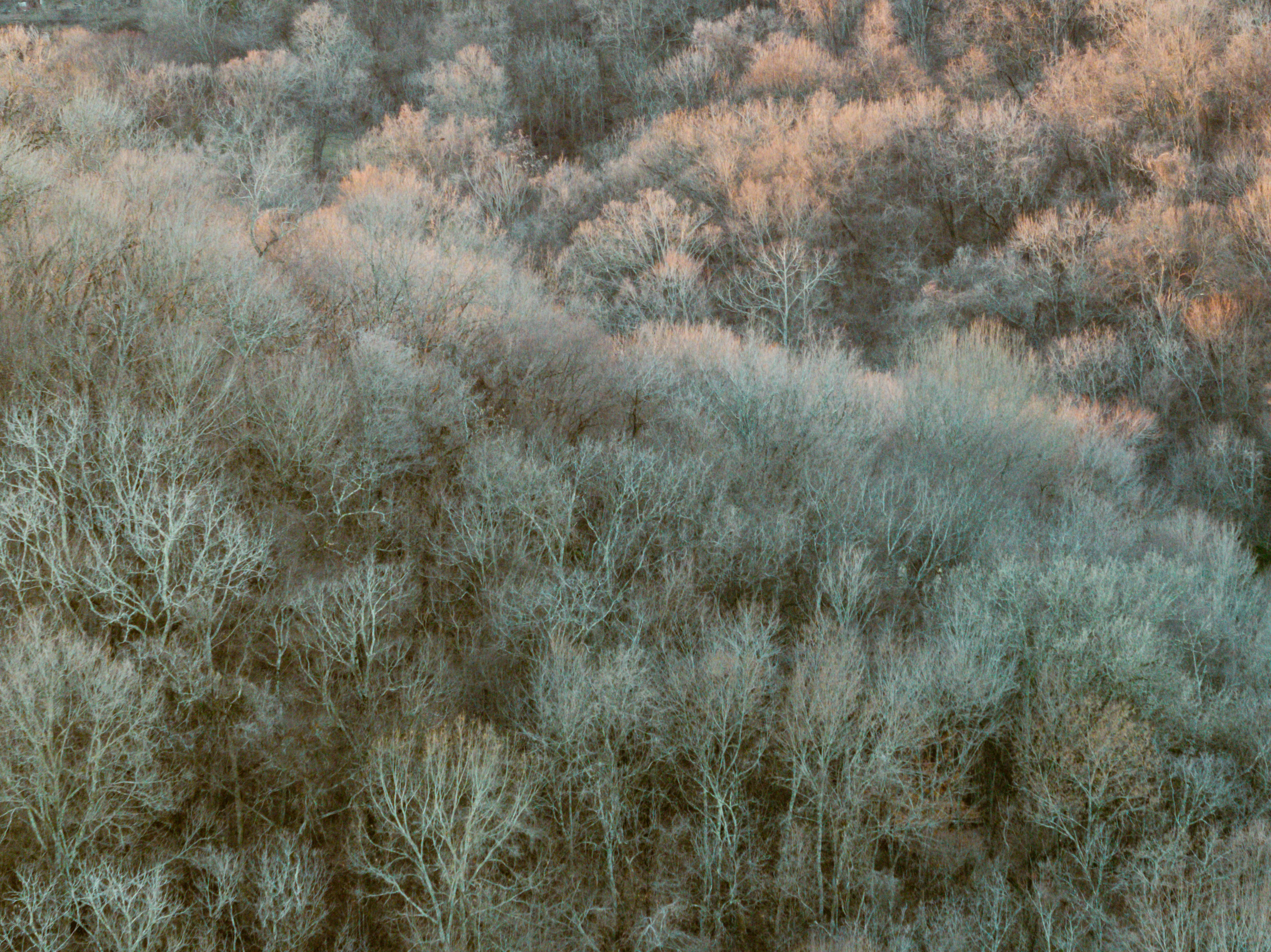 Photo by joshwithers