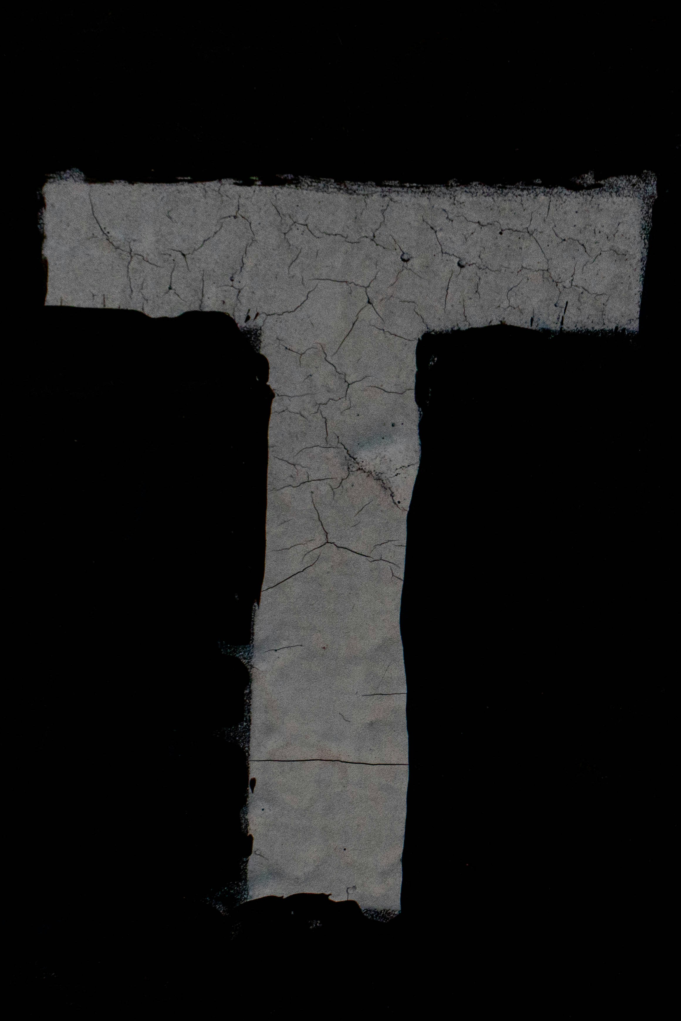 a black and white photo of a letter t