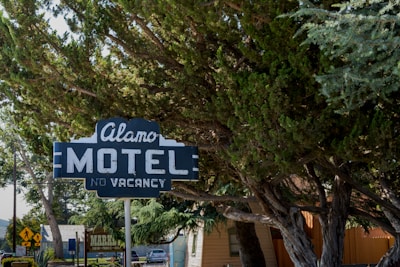 A vintage motel sign with the words 'Alamo Motel No Vacancy' stands amidst lush green trees. The sign has an old-fashioned design with white lettering on a blue background. The surrounding area includes a variety of large trees, casting shade and creating a serene, rustic atmosphere.