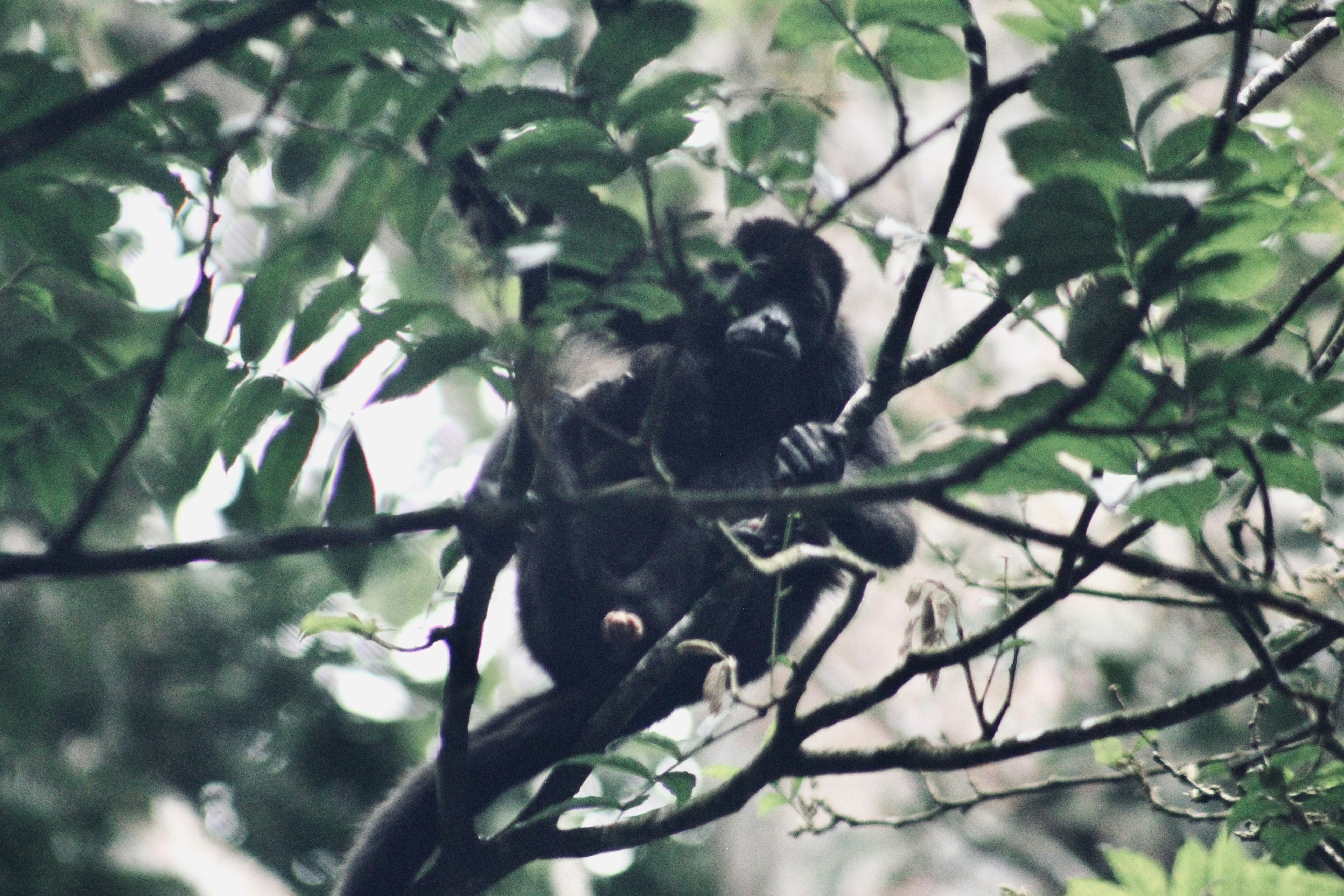 Photo by aspen_dianne