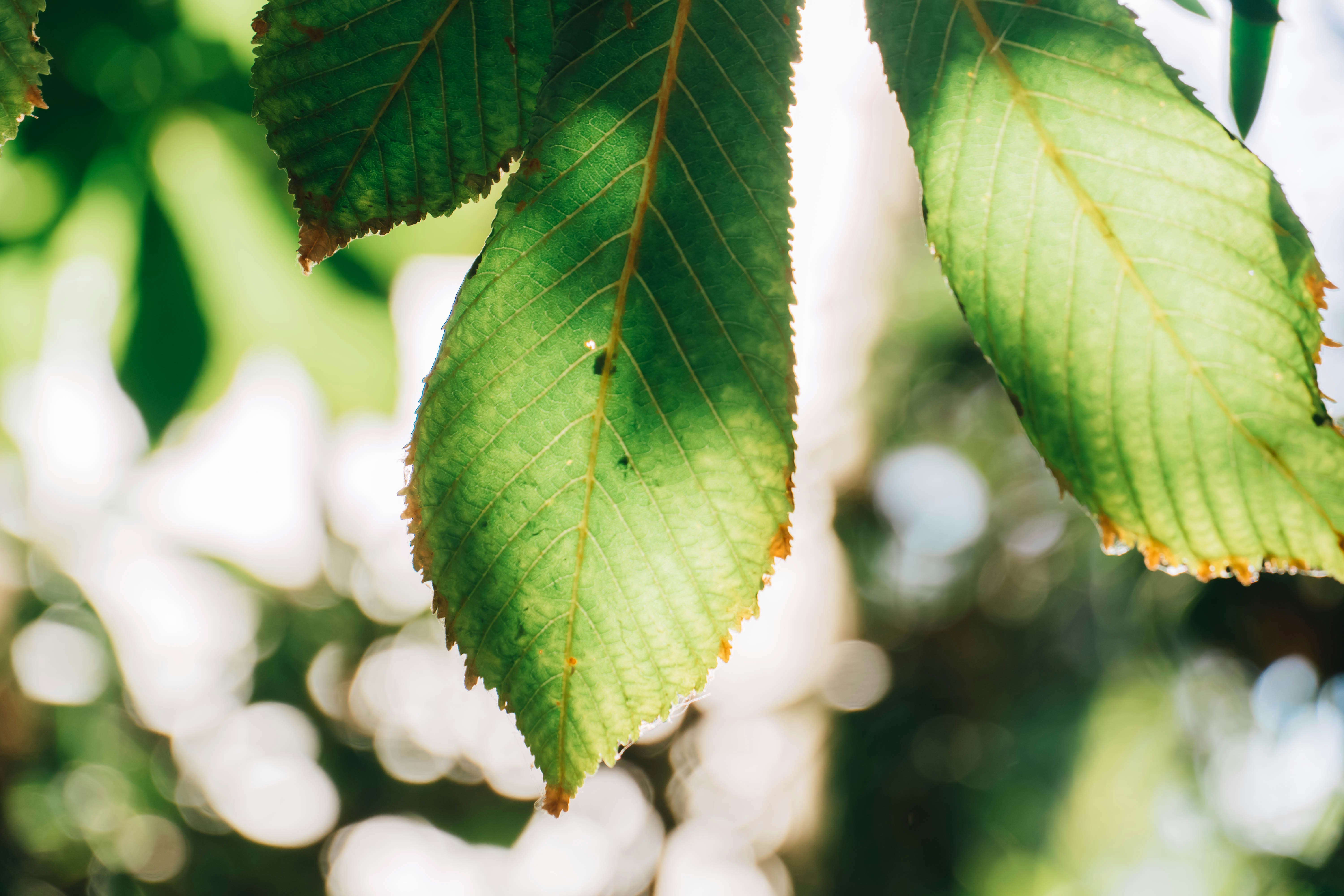 Photo by gustavo0351