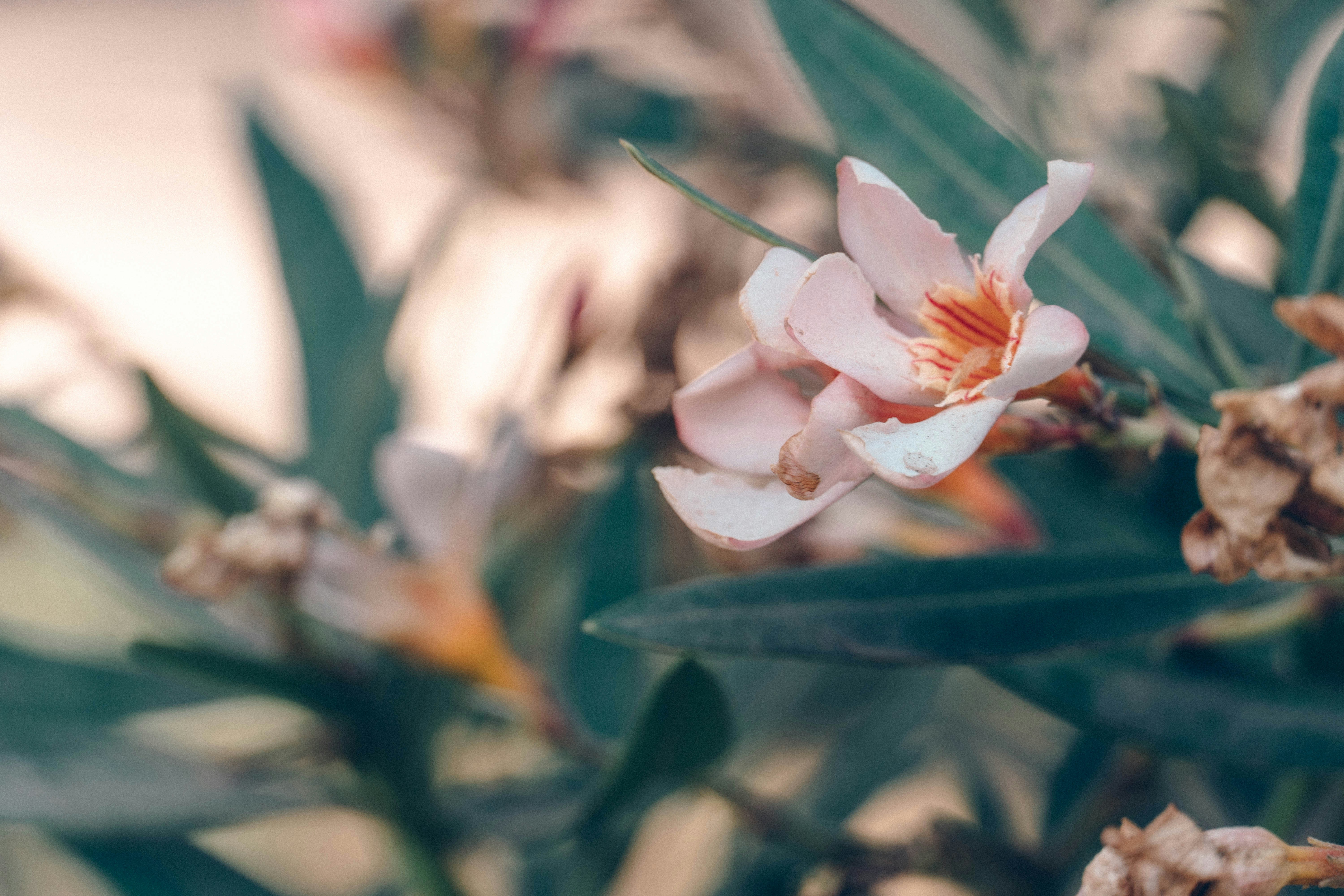 Photo by gustavo0351