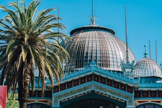 A large, ornate building with multiple domed roofs made of glass and metal featuring intricate architectural details. To the left of the building, a tall palm tree with lush green fronds provides a natural contrast to the structured design. The sky is clear and blue, providing a bright backdrop.