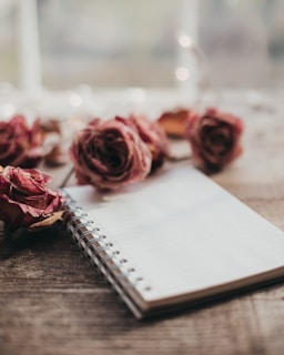 A spiral-bound notebook lays open on an aged wooden surface. Surrounding the notebook are several dried rose blooms in varying shades of pink and red, adding a rustic and romantic feel to the scene. Soft, blurred lights in the background contribute to a cozy atmosphere.
