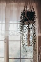 Vintage rattan hanging pots swaying gently with trailing vines in soft sunlight.
