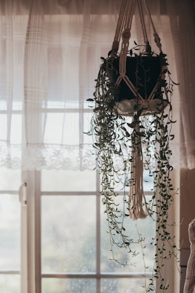 Macrame plant holder gently swaying with a hanging fern next to a sunlit window