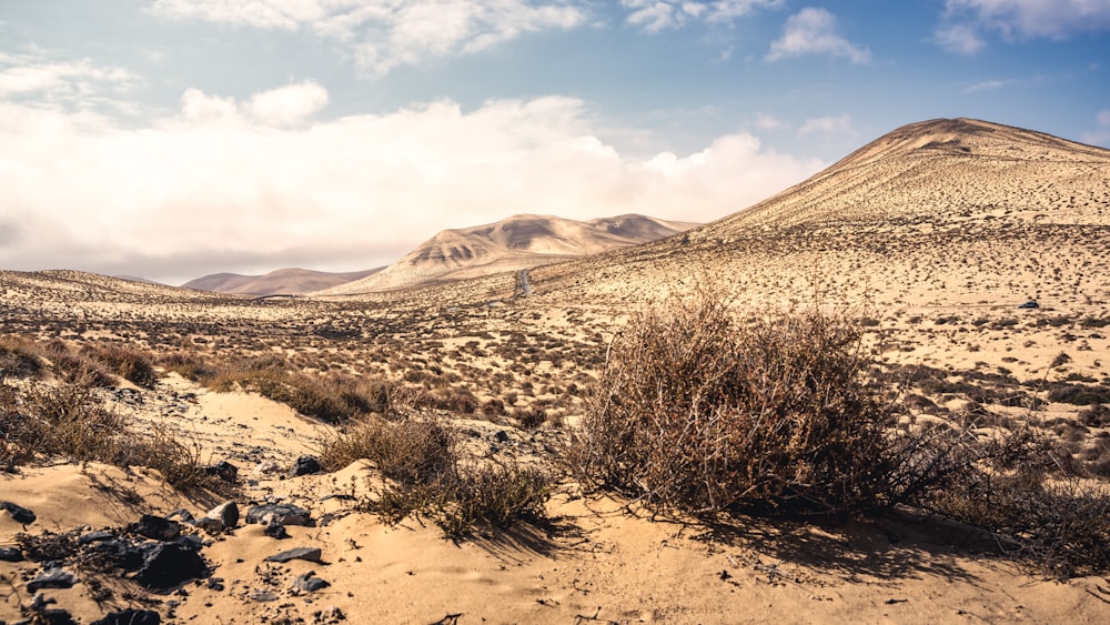 a desert landscape with a mountain in the background