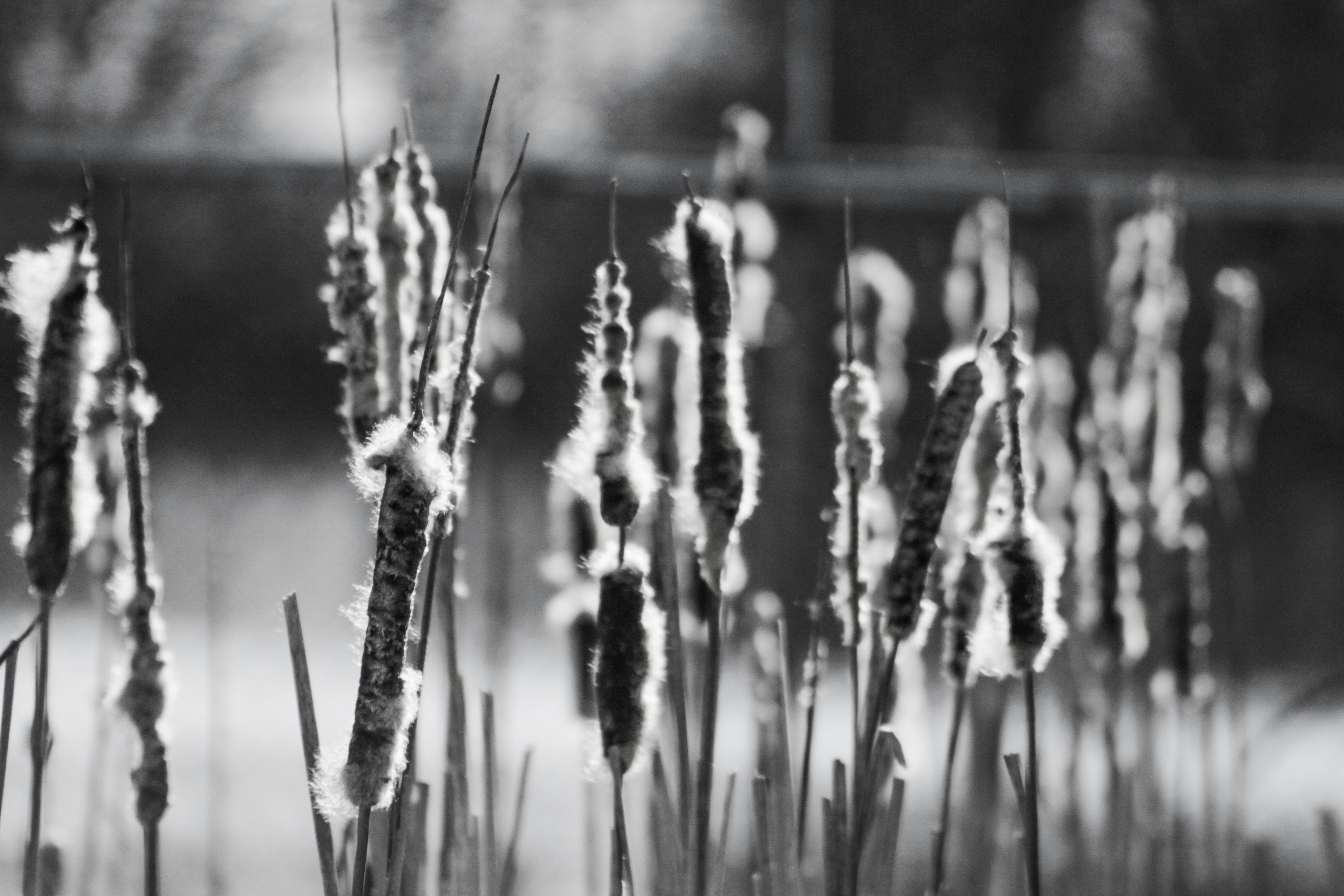 Photo by ethancurrier