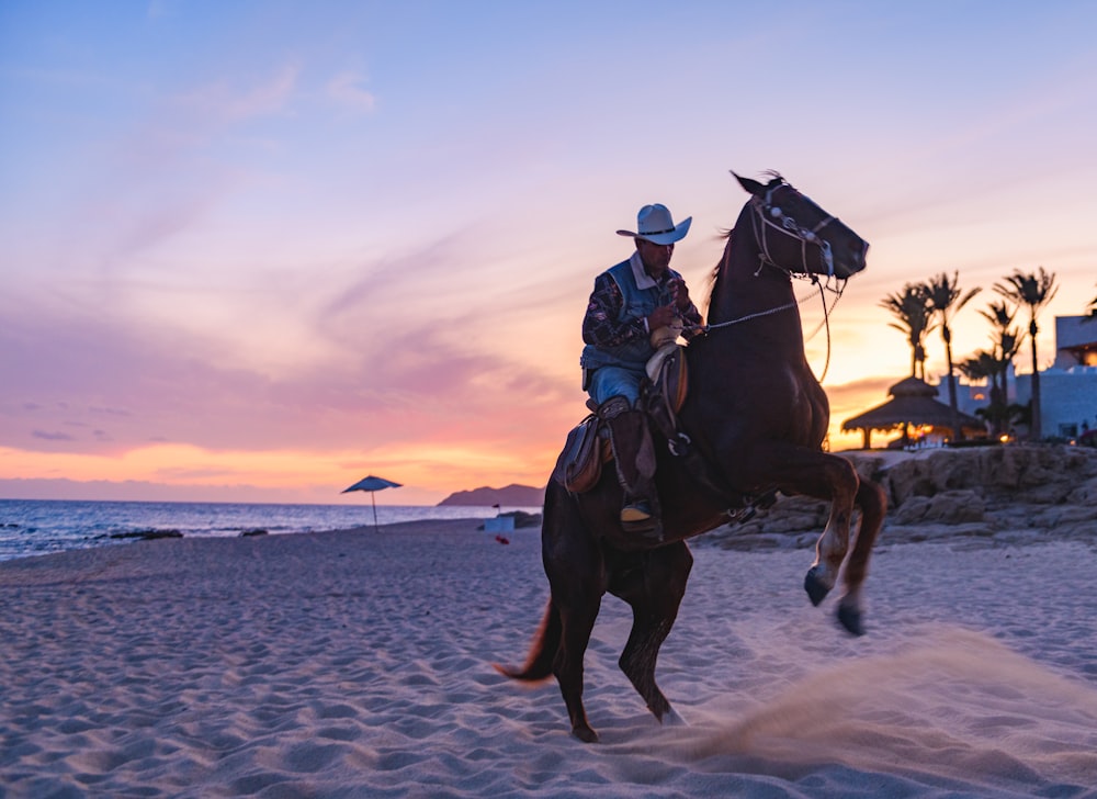a man riding on the back of a brown horse on a beach