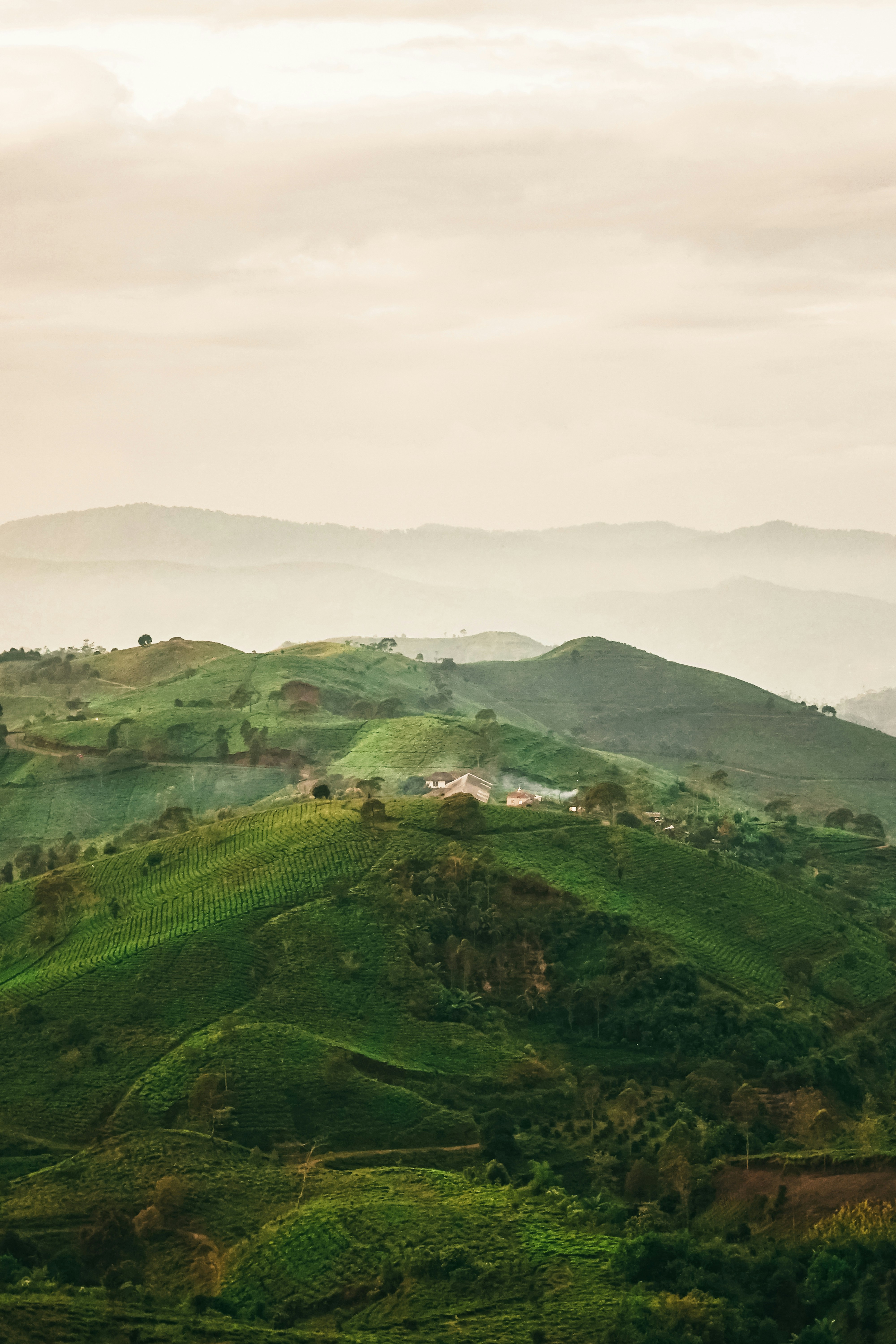 Photo by yusuprachman