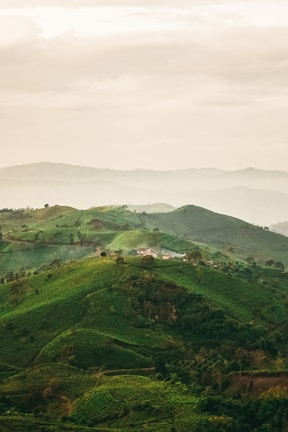 a hill covered in lush green hills under a cloudy sky