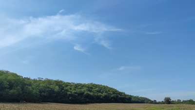 A wide open green field ready for development under a clear blue sky.