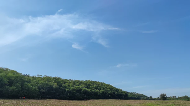 A wide open green field under a clear blue sky, perfect for building or farming.