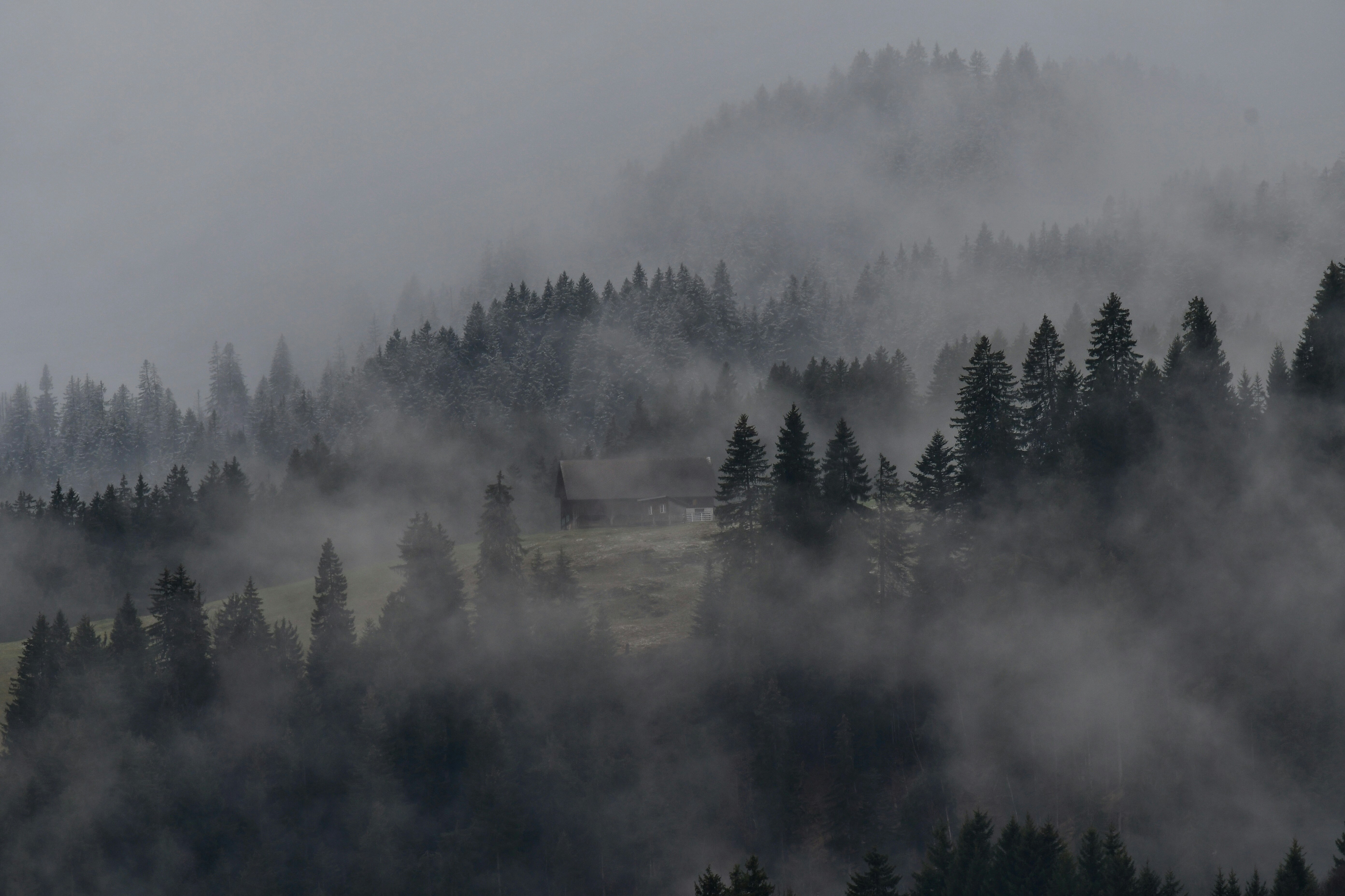 Photo by pedrino5_official