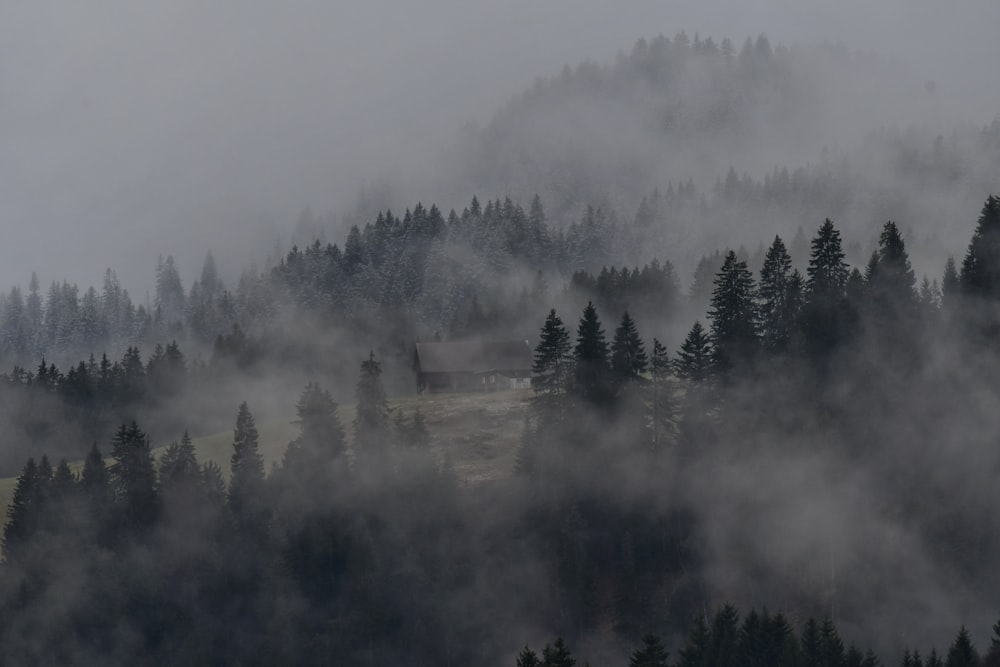 a mountain covered in fog and trees