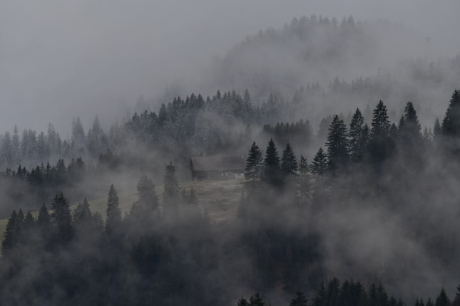 A misty landscape with dark coniferous trees covering rolling hills. A small wooden cabin is nestled among the trees, partially obscured by the fog. The atmosphere is serene and mysterious, with layers of mist creating depth.