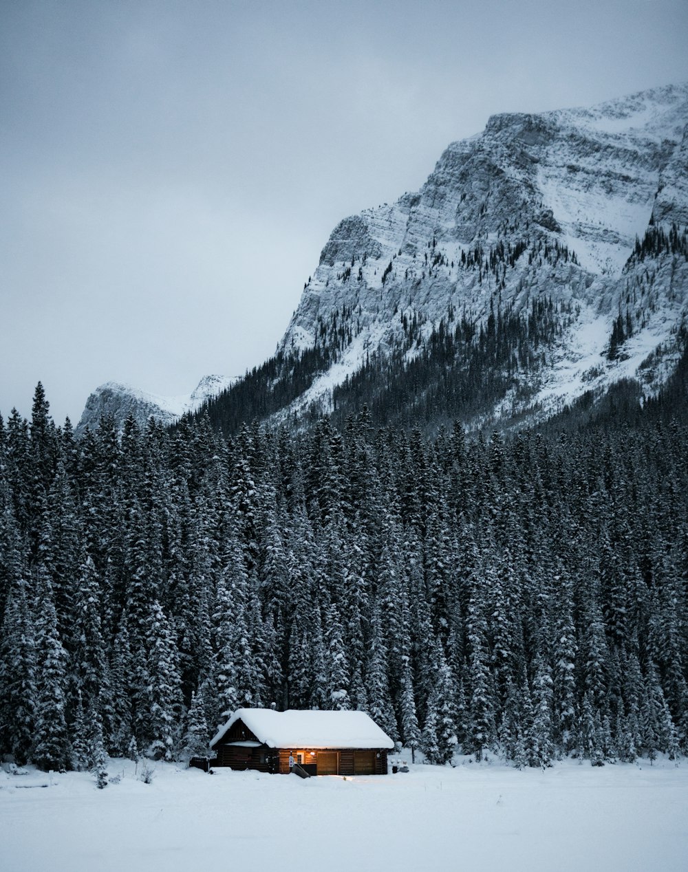 a cabin in the middle of a snowy forest