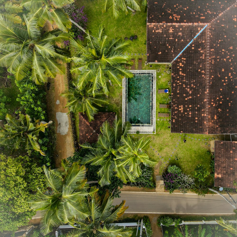 an aerial view of a pool surrounded by palm trees