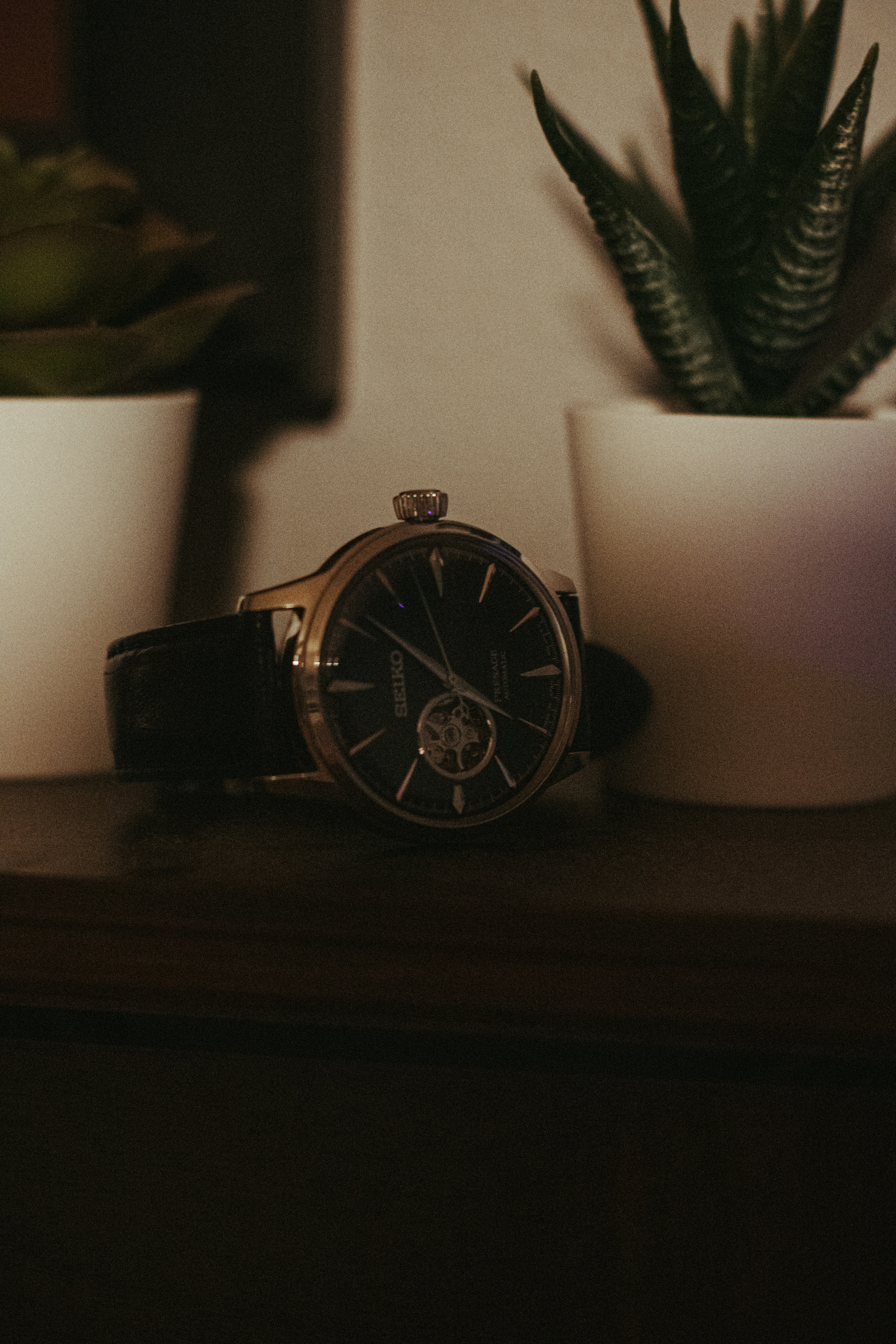 a watch sitting on a table next to a potted plant