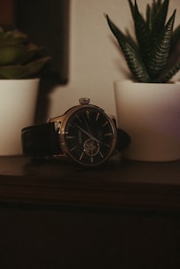 a watch sitting on a table next to a potted plant