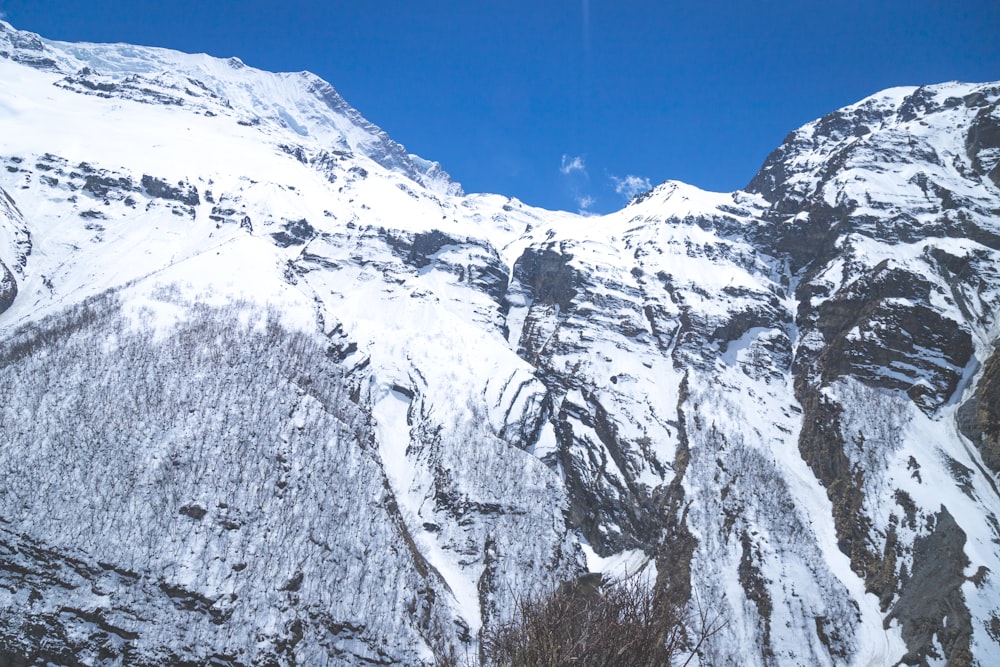 a snow covered mountain with a blue sky in the background