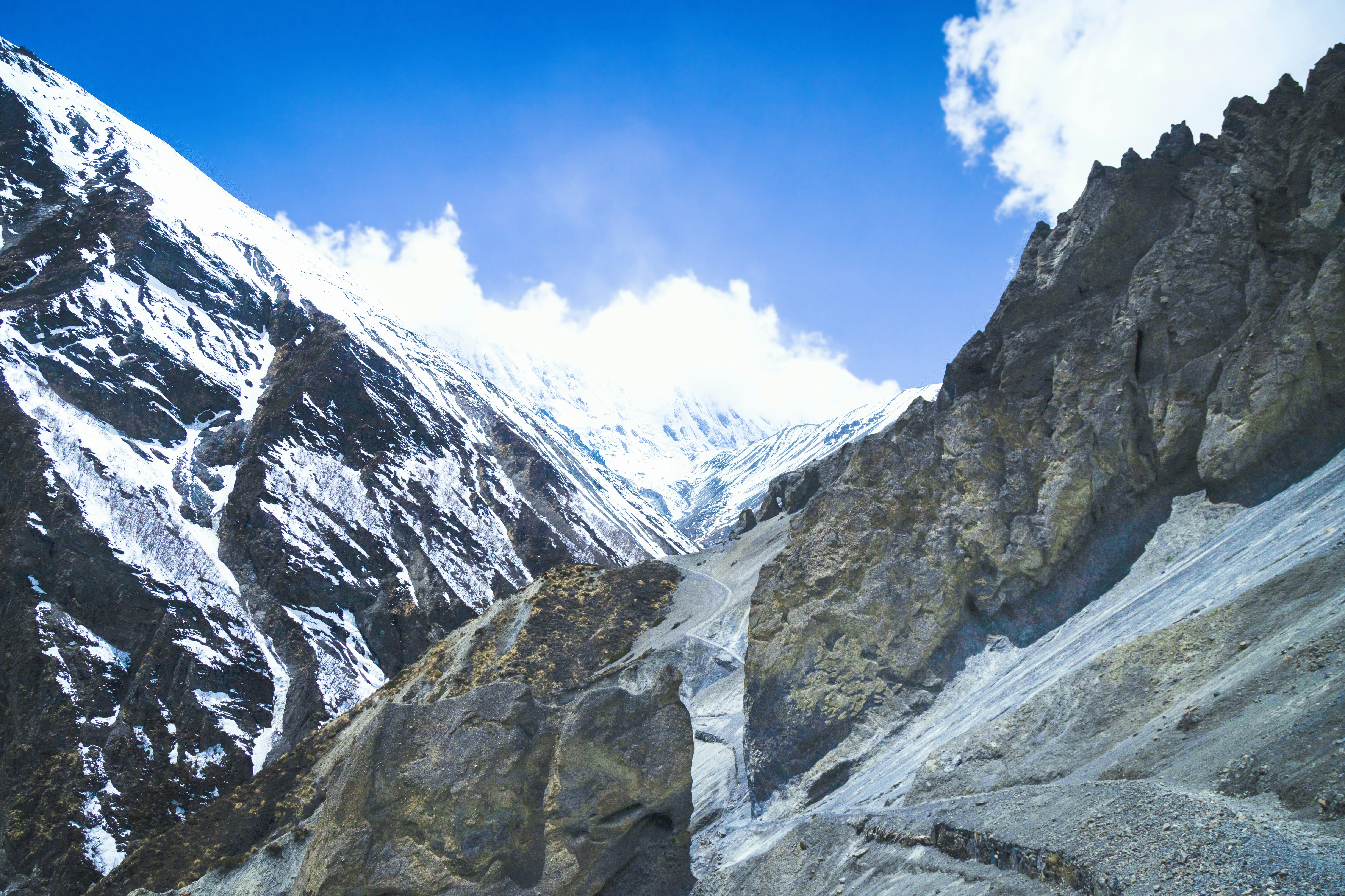 Photo by ashokjkshetri