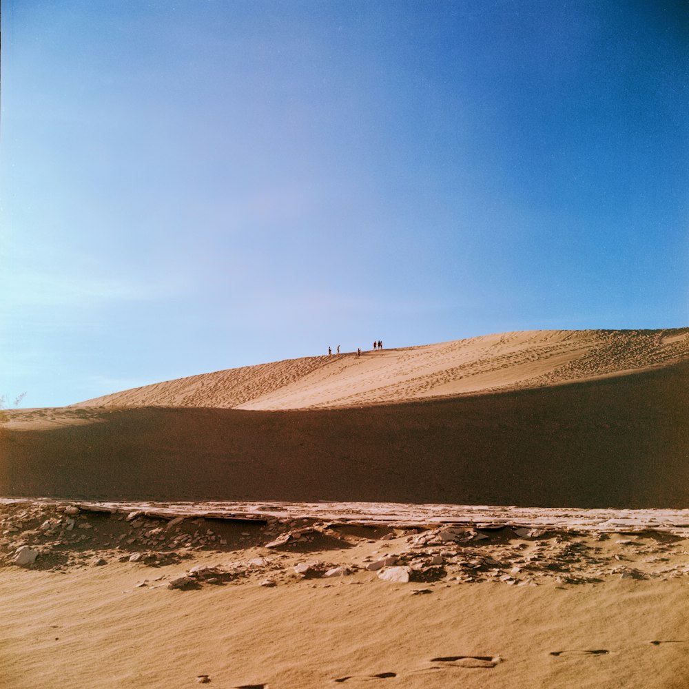 a group of people standing on top of a sandy hill