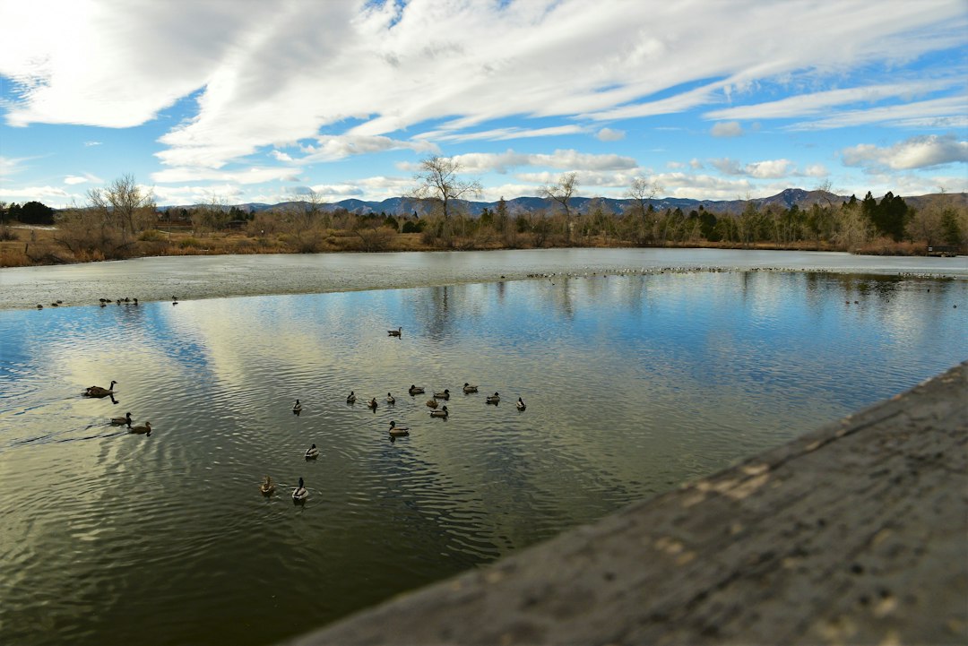Lakewood