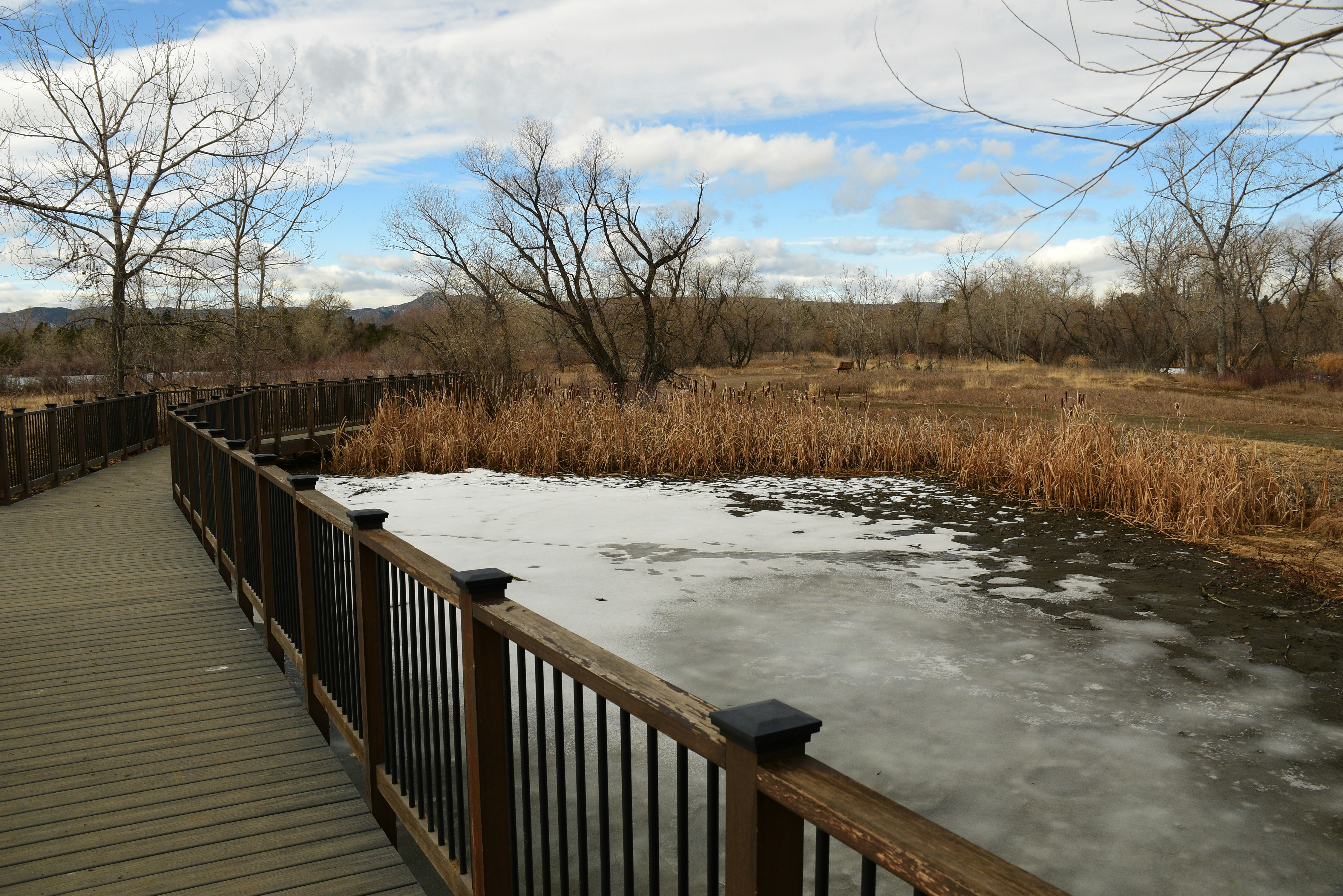 Lakewood Park